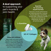 Joint & Muscle Health