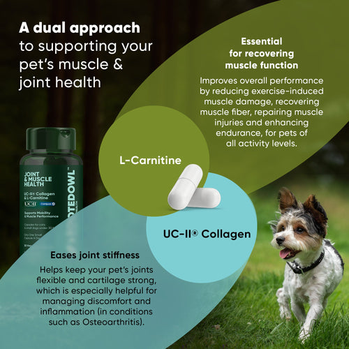 Joint & Muscle Health