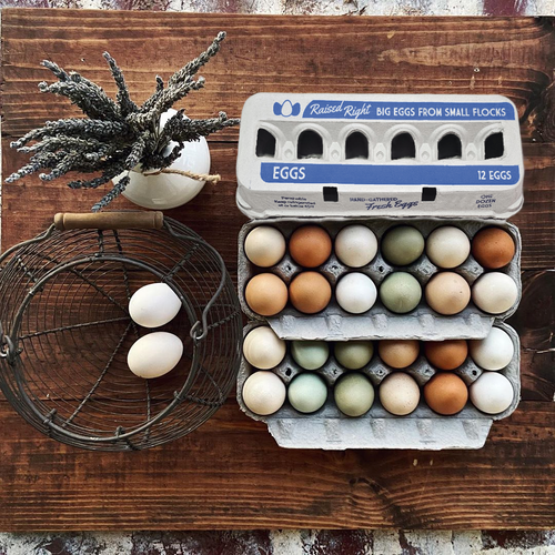 Henlay Jumbo Egg Cartons for 12 Farm Fresh Eggs – Durable & Reusable Egg Carton, 20 or 75 Pack