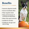 Pumpkin Powder Topper - 7 oz