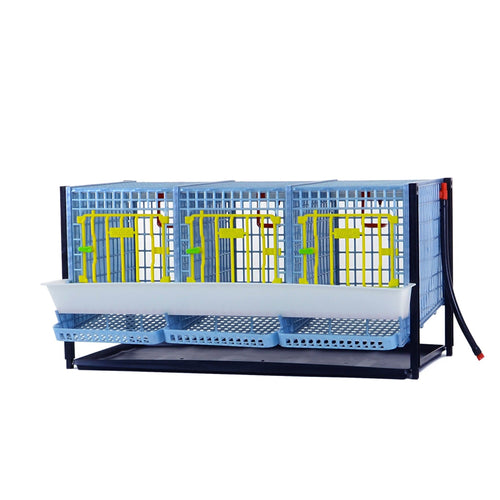 Partridge Cage - Layer addition