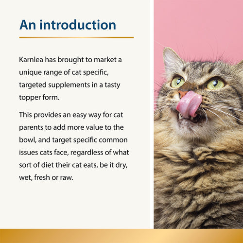 Mobility - Joint Care for Cats