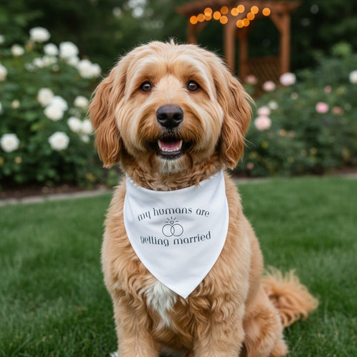 My Humans Are Getting Married Dog Bandana