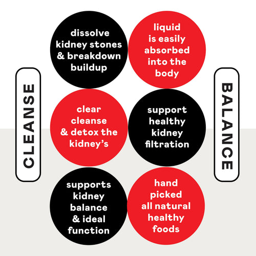 Kidney Complete
