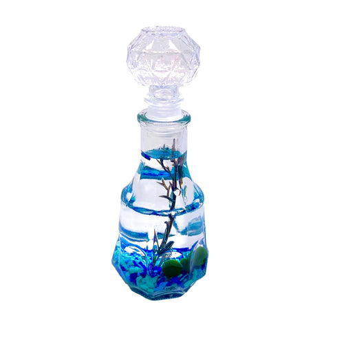 Romantic Marimo Moss Balls 2PCS Set Glass Bottle Aquarium With Lid Love Plants for Beginners for Couples