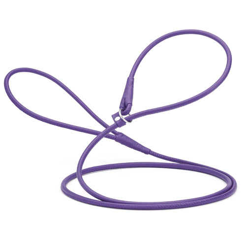 Soft Leather Round Slip Lead for Dogs