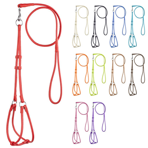 Soft Leather Round Step-In Dog Harness + Round Dog Lead