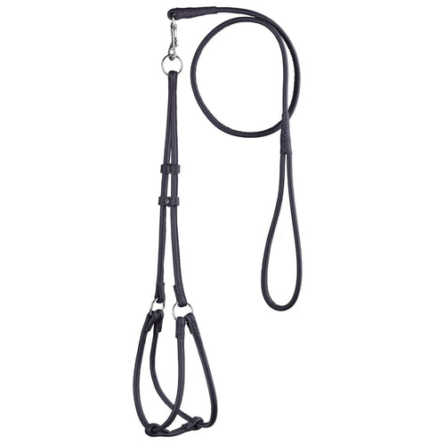 Soft Leather Round Step-In Dog Harness + Round Dog Lead
