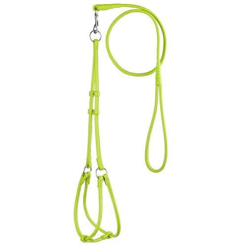 Soft Leather Round Step-In Dog Harness + Round Dog Lead