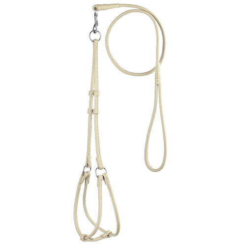 Soft Leather Round Step-In Dog Harness + Round Dog Lead