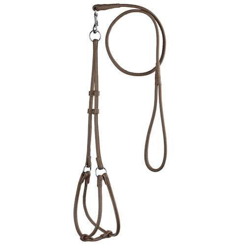 Soft Leather Round Step-In Dog Harness + Round Dog Lead