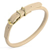 Soft Rolled Leather Dog Collar with Brass Hardware