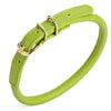 Soft Rolled Leather Dog Collar with Brass Hardware