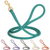 Rolled Leather Dog Leash with Brass Snap Hook