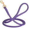 Rolled Leather Dog Leash with Brass Snap Hook