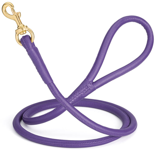 Rolled Leather Dog Leash with Brass Snap Hook