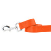 Rust Nylon Dog Leash (1 only)