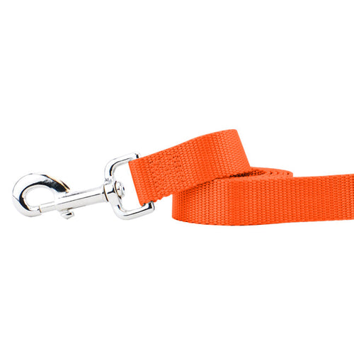 Rust Nylon Dog Leash (1 only)