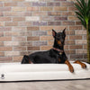 Luxury Orthopedic Dog Bed