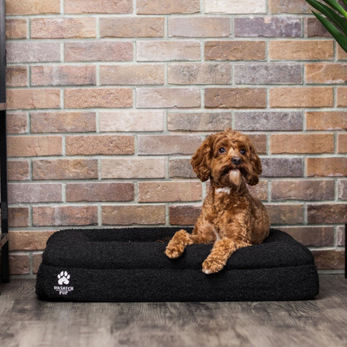 Luxury Orthopedic Dog Bed