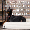Luxury Orthopedic Dog Bed