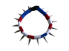 CoyoteCollar