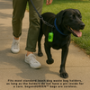 45 Count - Dog Poop Bags
