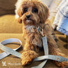 Fabric Dog Leash - Grey