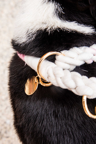 Pink and White Tie Dye Slip Collar - Glow Pups
