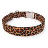 Leopard Print Dog Collar