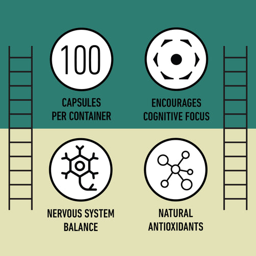 Organic Lion's Mane Capsules