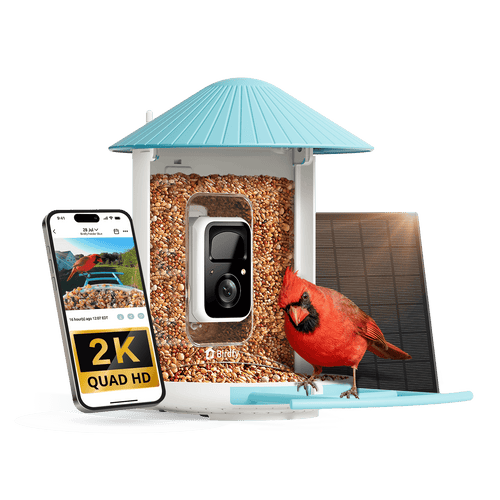 Birdfy Feeder - Smart Bird Feeder with Camera Standard Kit