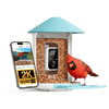 Birdfy Feeder - Smart Bird Feeder with Camera Standard Kit