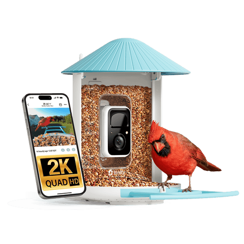 Birdfy Feeder - Smart Bird Feeder with Camera Standard Kit
