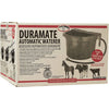 Little Giant Automatic Animal Waterer Blue 4 Gallon Float Controlled Livestock