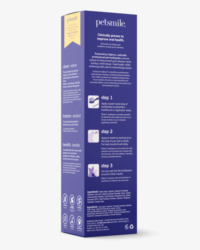 Professional Toothpaste London Broil Large & Professional Pet Toothbrush