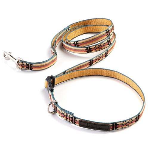 Adjustable Hands-Free Tether Leash 3/4''