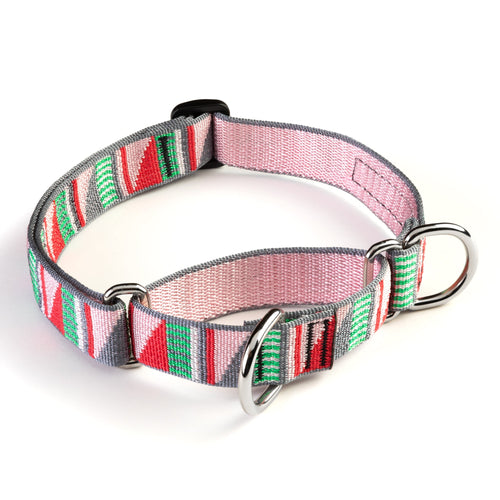 Classic Martingale Training Collar 1''