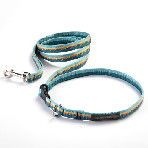 Adjustable Hands-Free Tether Leash 1''
