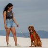 Adjustable Hands-Free Tether Leash 3/4''