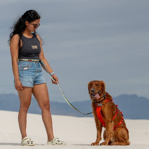 Adjustable Hands-Free Tether Leash 3/4''