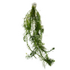 Bunch Green Myrio