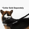 Comfort Microfiber Flat Dog Leash
