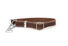 Martingale Leather Dog Collar