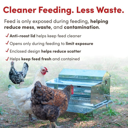 RentACoop Automatic Metal Treadle Feeder - 25lb Capacity