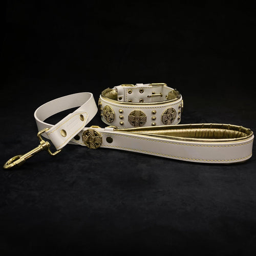 The Maximus collar 2.5 inch wide white & gold