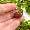 Magenta Mystery Snail