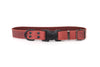 Celtic Sport Quick-Release Leather Dog Collar