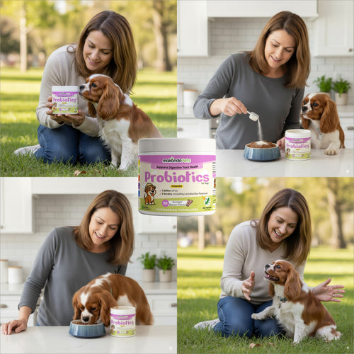 Probiotics for Dogs and Puppies. 90 Scoops