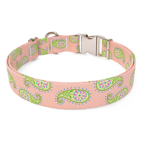 Melon Paisley Dog Collar